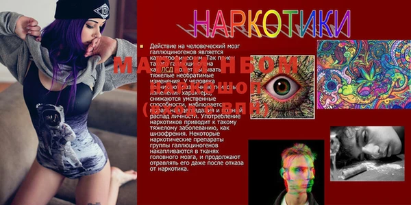 метадон Заволжск